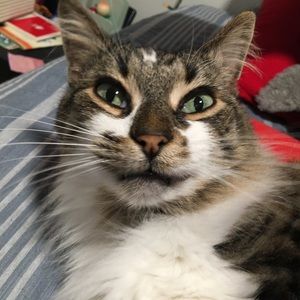 Meet your Posher, Ren